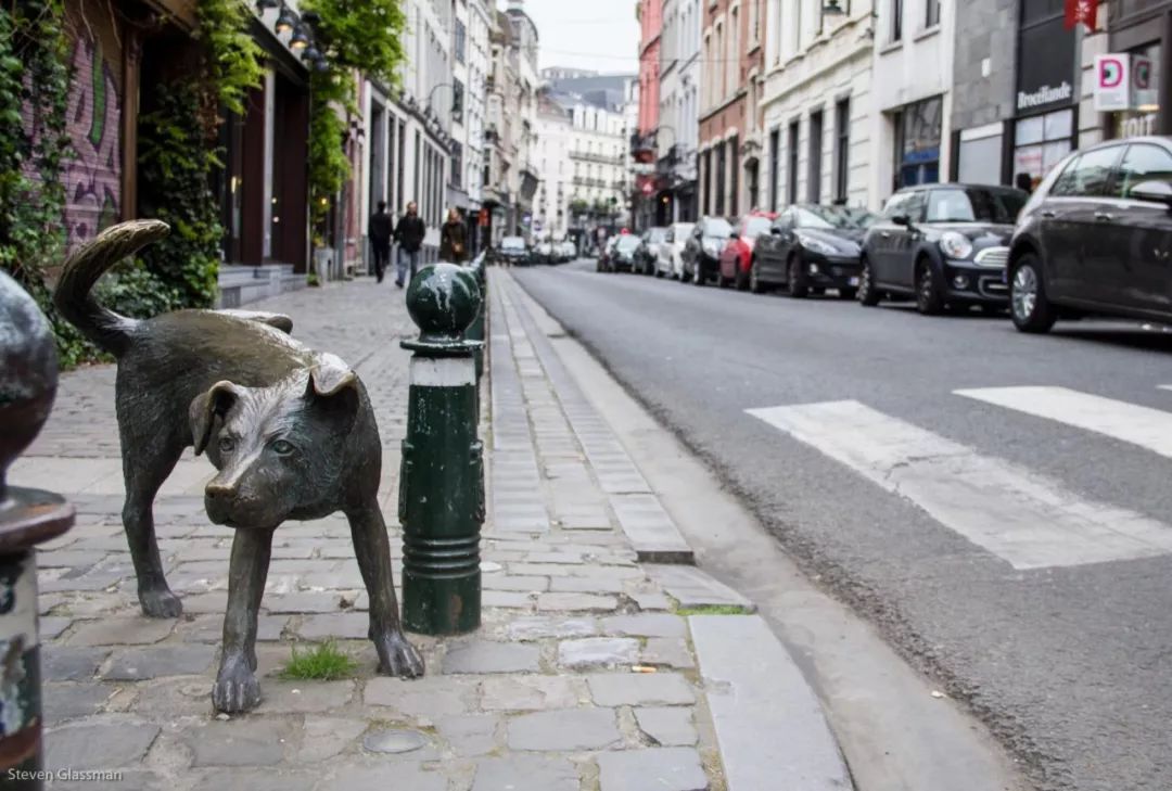 但愿人长久 视频缩略图