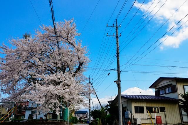 命运无常 视频缩略图