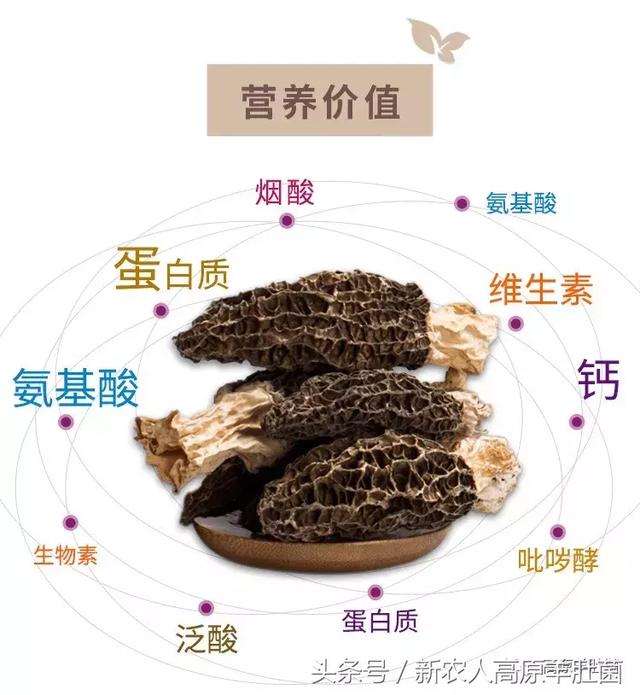 停止 视频缩略图