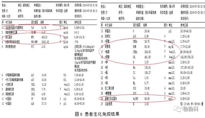 僵尸复活 视频缩略图
