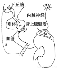 假日劫 视频海报