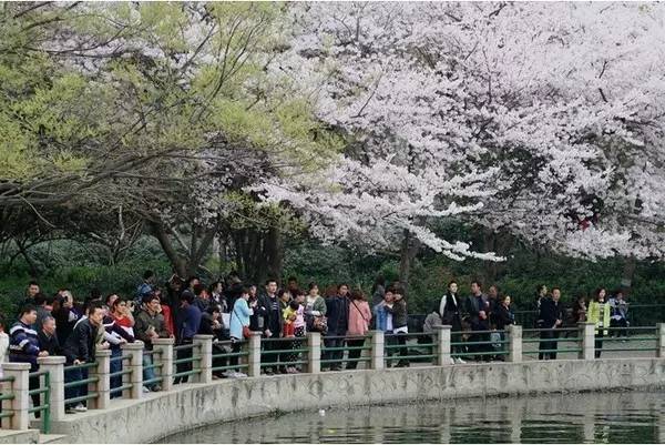 你的生命之轮 视频缩略图