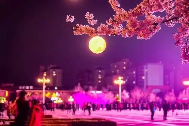 冷血追击（原声版） 视频海报