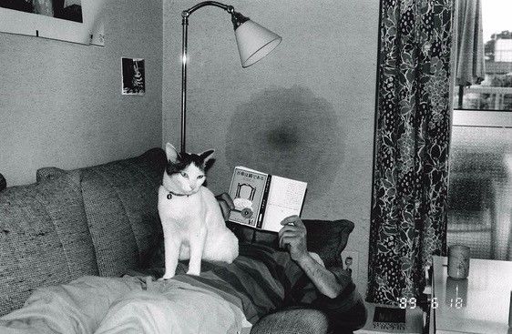 偷狗的完美方法 视频缩略图