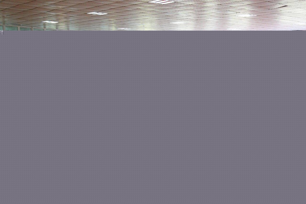 夜叉 视频缩略图