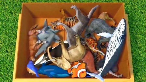 传奇的诞生（原声版） 视频主图