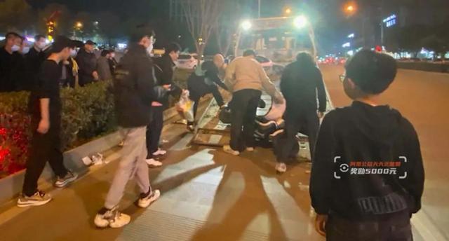 伪恋2018 视频缩略图