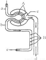 外星幻想曲 视频海报