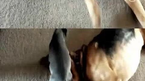 伦敦生活 视频缩略图