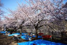 修补生活 视频缩略图