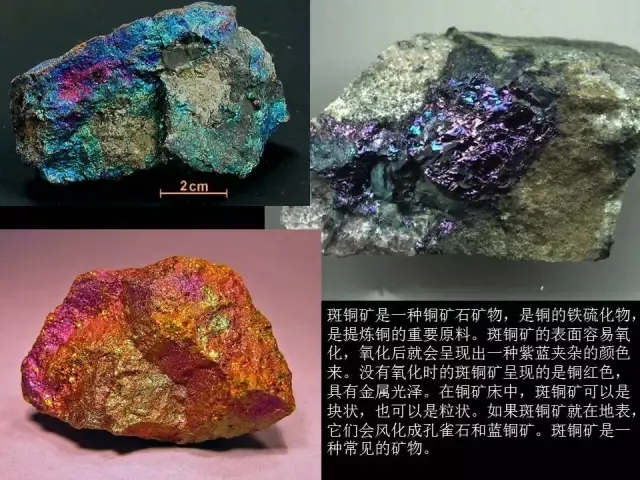 人肉米粉 视频主图