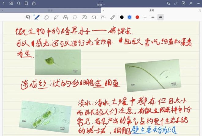 兄弟会 视频缩略图