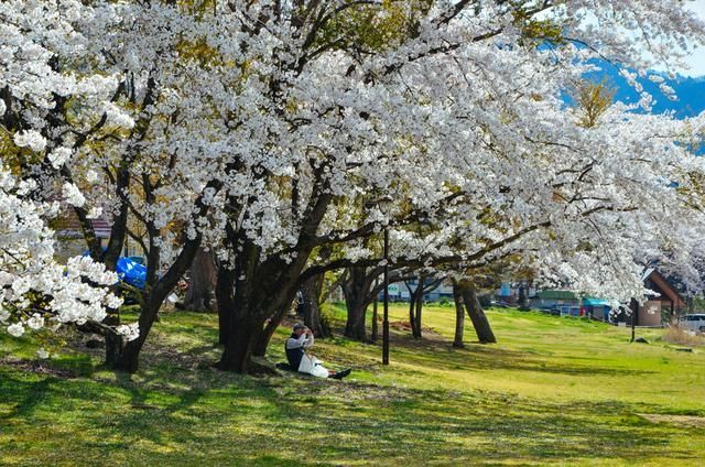 侣行攻略之确认你是我的人 视频缩略图
