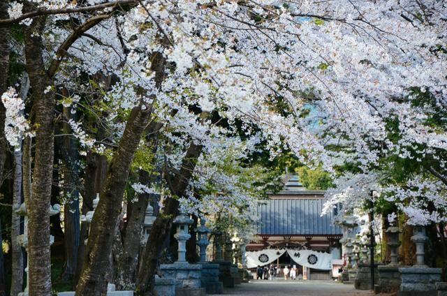 周一热潮 视频缩略图