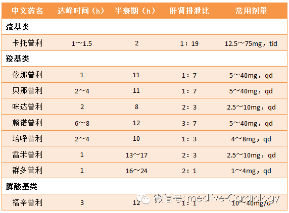 垫底联盟 视频缩略图