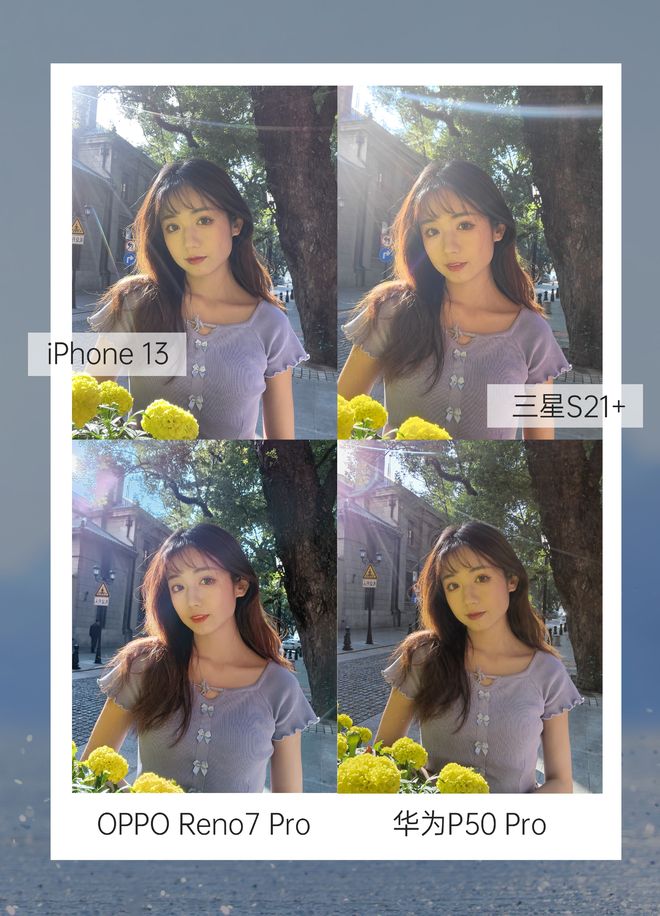 信天翁 视频缩略图