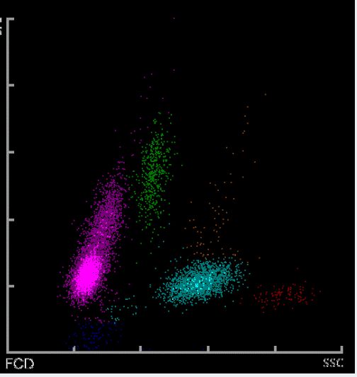 可口可乐小子 视频缩略图