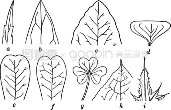 冰雪女王5：融冰之战 视频缩略图