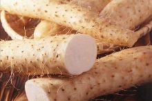 侏罗纪入侵 视频缩略图