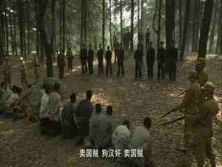 侨女日记 视频缩略图