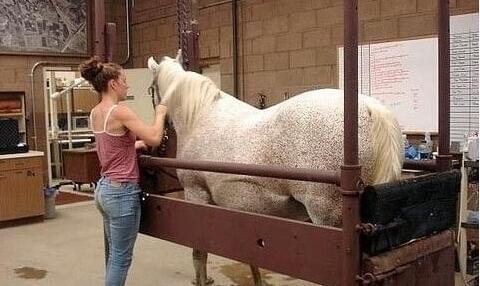 低俗喜剧 视频缩略图