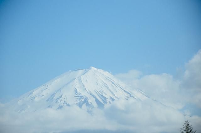 体育俱乐部 视频缩略图