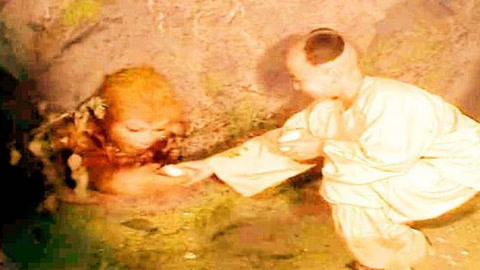 叹别离 视频缩略图