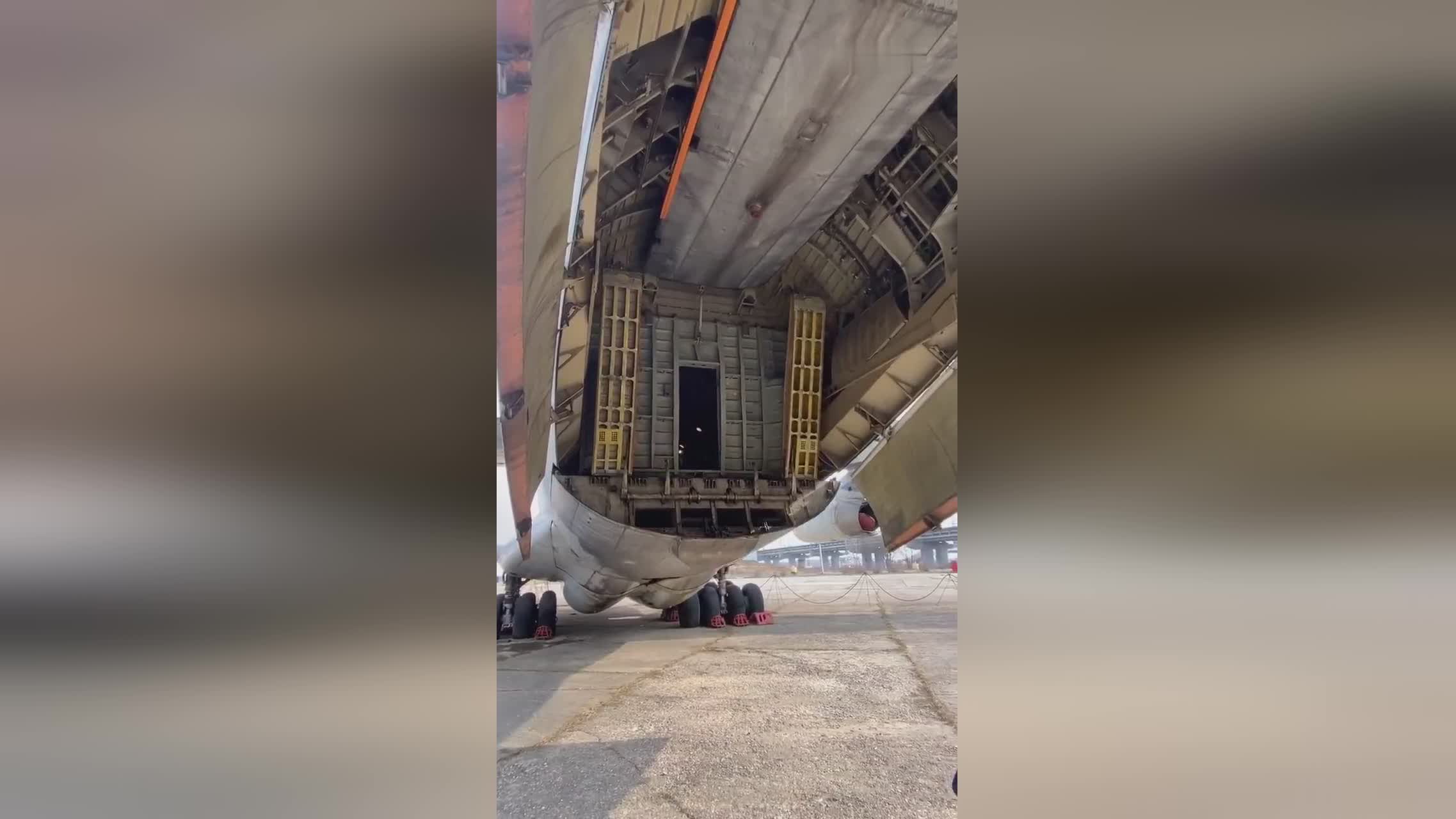 仙球大战 视频缩略图