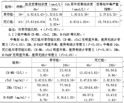 印尼饮食男女 视频主图