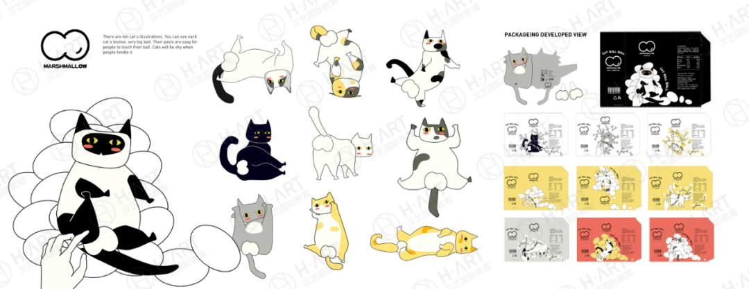 凯尔经的秘密 视频海报