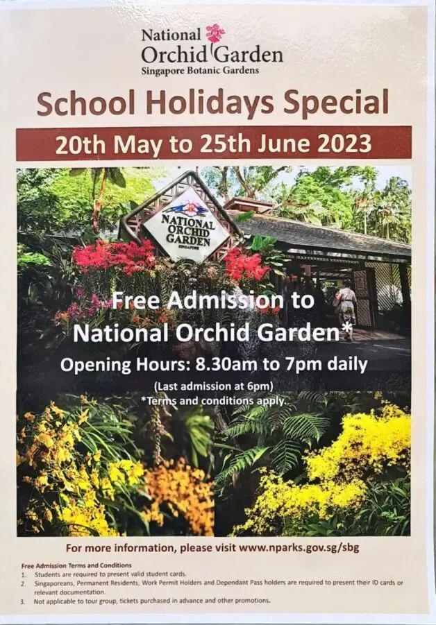 圣诞前夕的骑士 视频缩略图