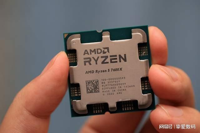 僵尸复活 视频海报