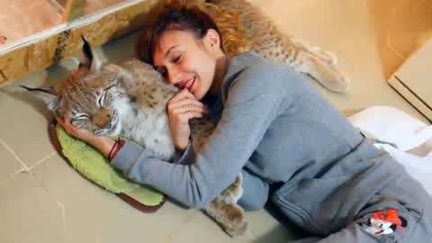 冷血十三鹰 冷血十三鷹 视频缩略图