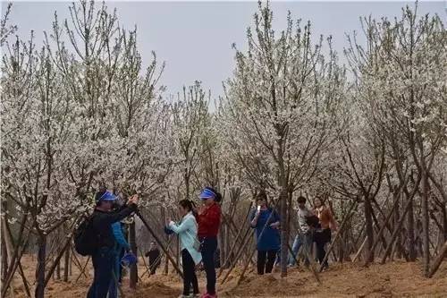 信托基金 视频缩略图