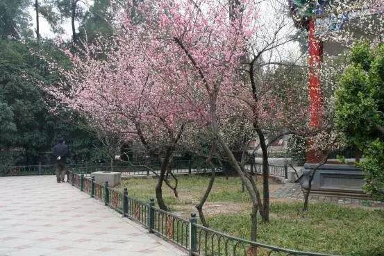 任务迷走72小时 视频缩略图