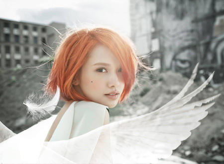 兄弟契约 视频海报