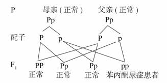 冰川时代5：星际碰撞 视频缩略图