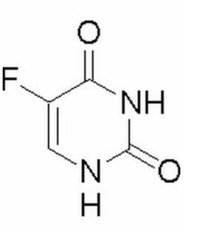 侠肝义犬（国语版） 视频缩略图