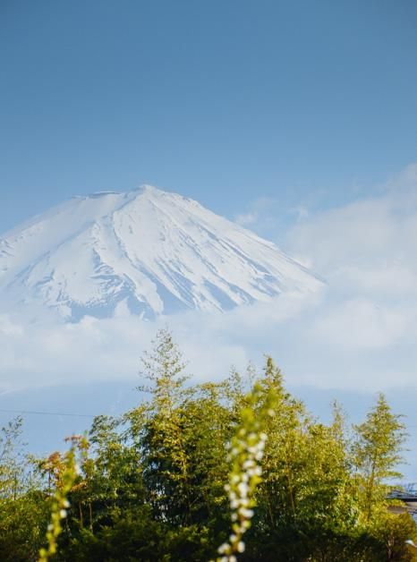侵入者 视频缩略图