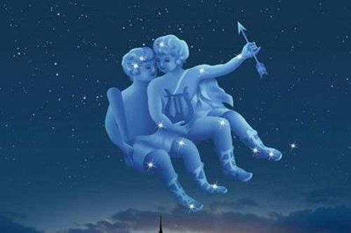 保镖2024 视频主图