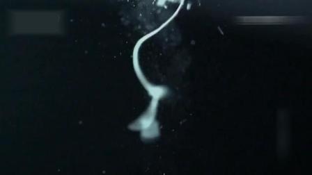 你丫闭嘴！ 视频海报