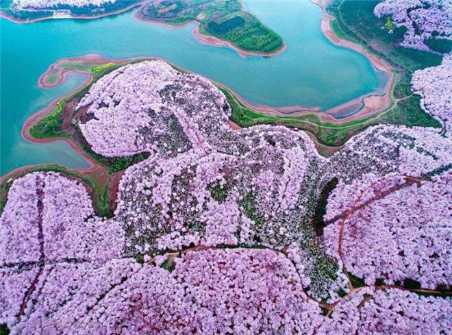 决战江湖之烂仔鸭王 视频海报