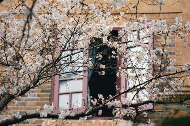 冰海陷落 视频海报
