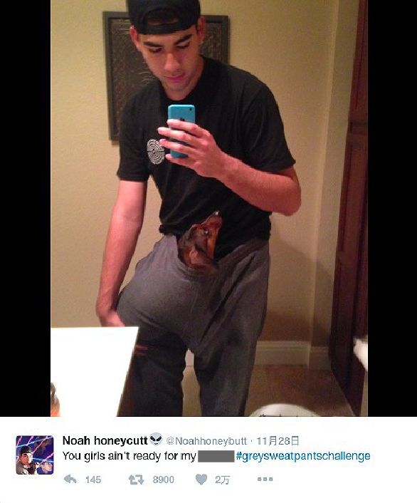 土豪哥的忧伤 视频海报