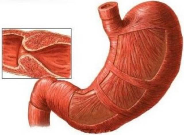仙球大战 视频缩略图
