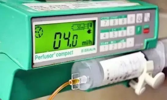 冽之花 视频海报