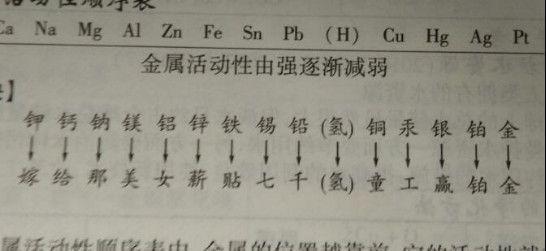 史蒂夫 Steve 视频缩略图