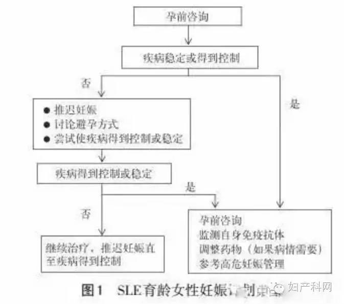 名人百态 视频缩略图