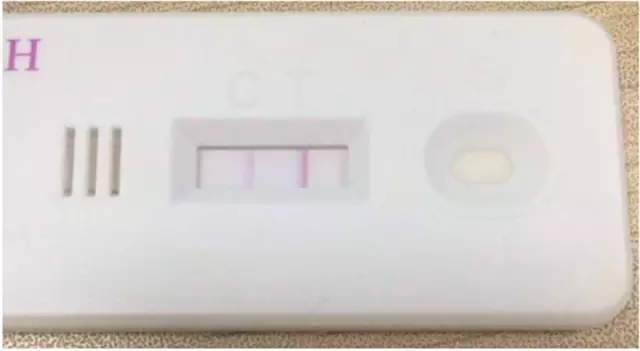 你的生命之轮 视频缩略图