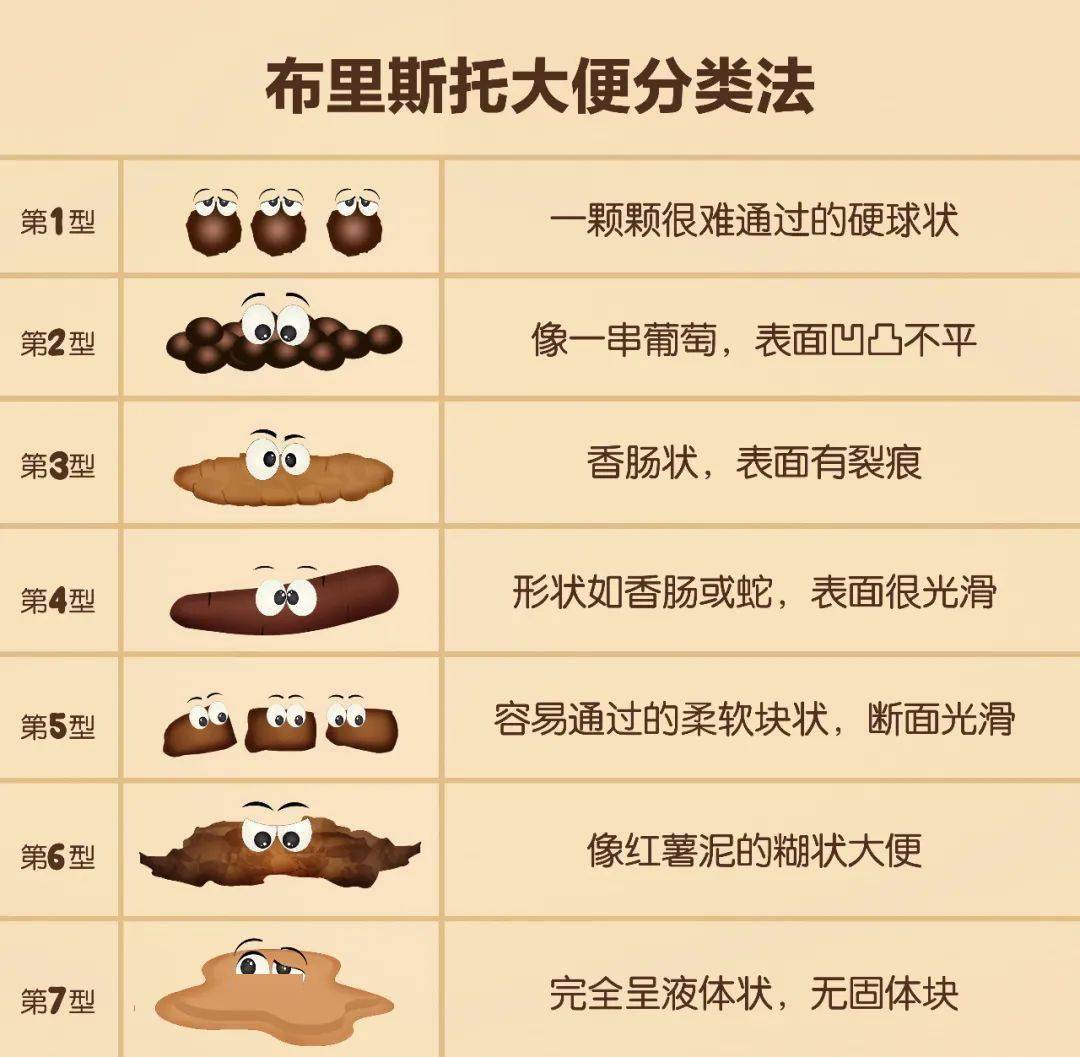 傲娇与偏见 视频缩略图